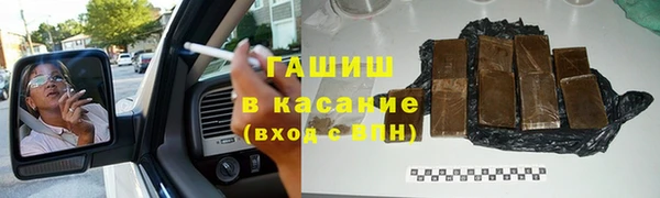 прущие грибы Бородино