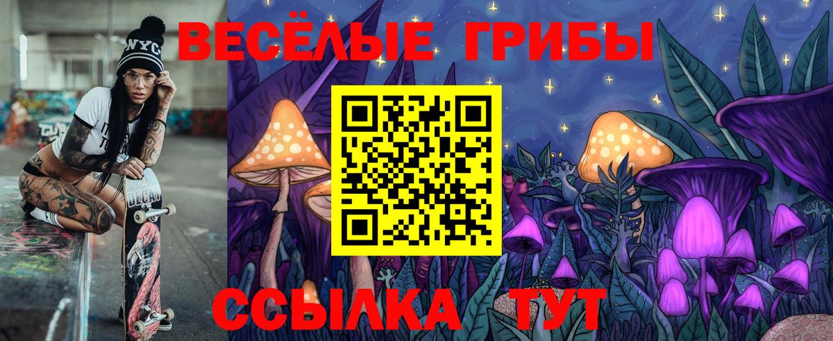 даркнет сайт  Вход с VPN  Полевской  Псилоцибиновые грибы MAGIC MUSHROOMS 