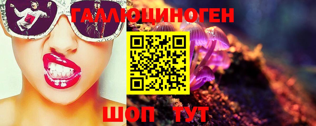 Псилоцибиновые грибы GOLDEN TEACHER Полевской